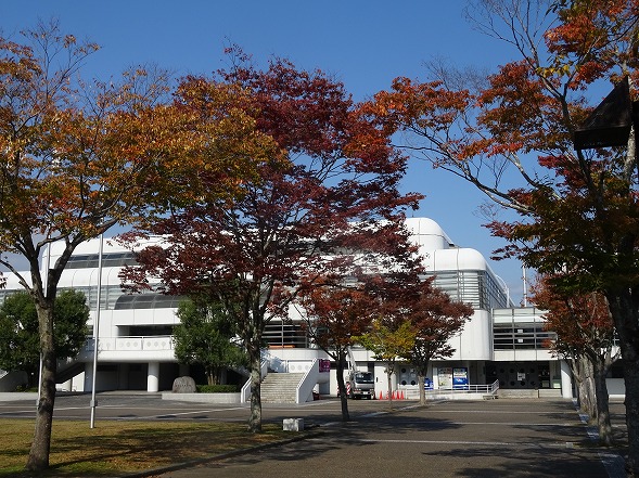 b0299042_1054511.jpg