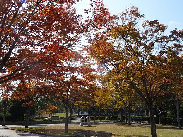 b0299042_1055024.jpg