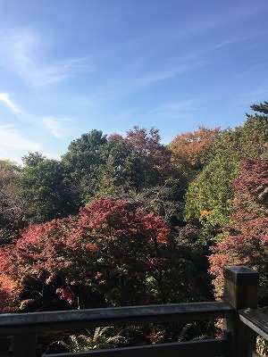 f0065542_22181804.jpg