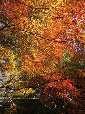 f0065542_22185784.jpg