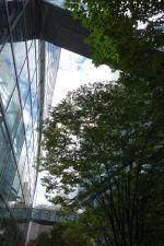 e0080345_06290823.jpg