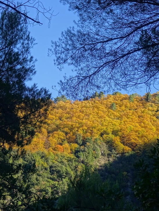 f0194446_04183479.jpg