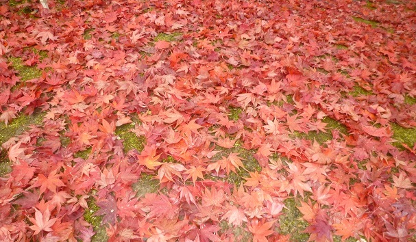f0181251_1218145.jpg