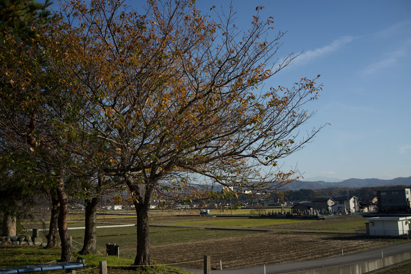 d0342652_2050444.jpg