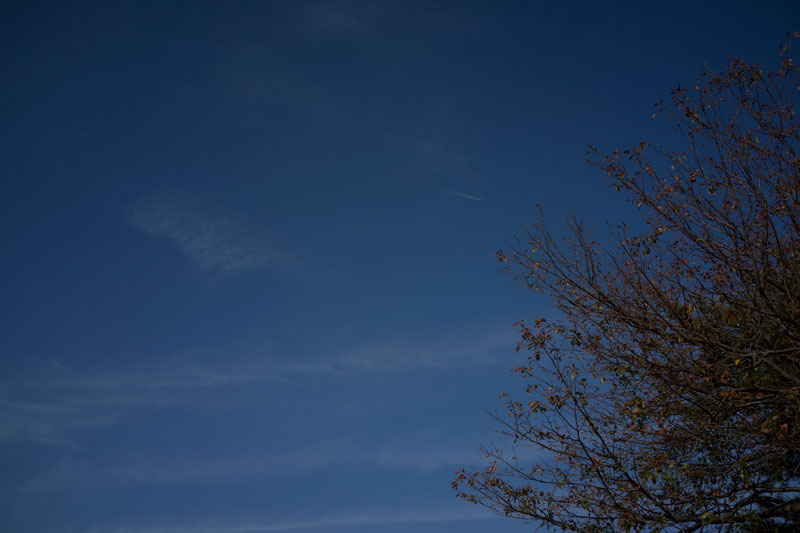 d0342652_20543364.jpg
