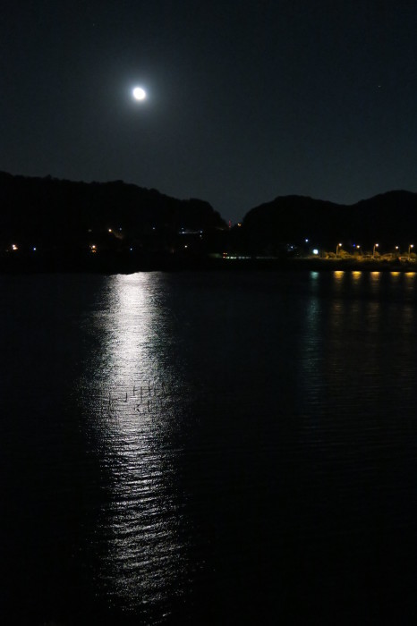 e0348754_13102196.jpg
