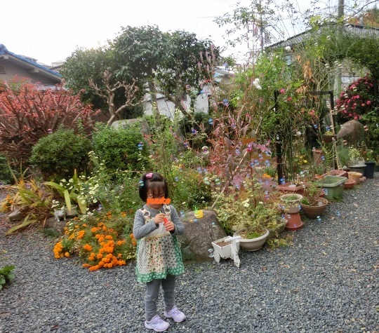 c0328559_17123779.jpg