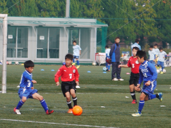 c0185364_175495.jpg