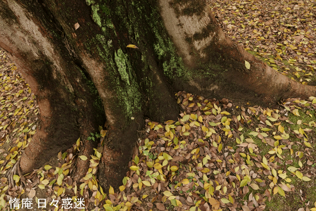 e0346064_18030888.gif