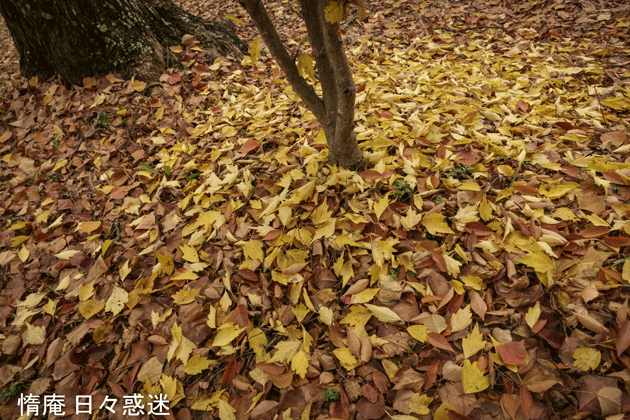 e0346064_18031025.gif