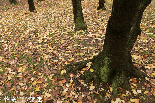 e0346064_18031058.gif