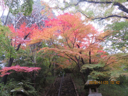 c0282566_17261915.jpg