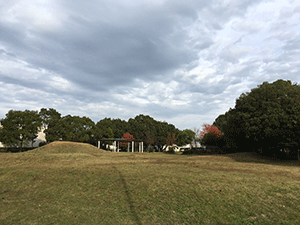 c0152274_23524068.gif