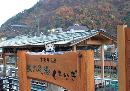 f0230777_09450241.jpg