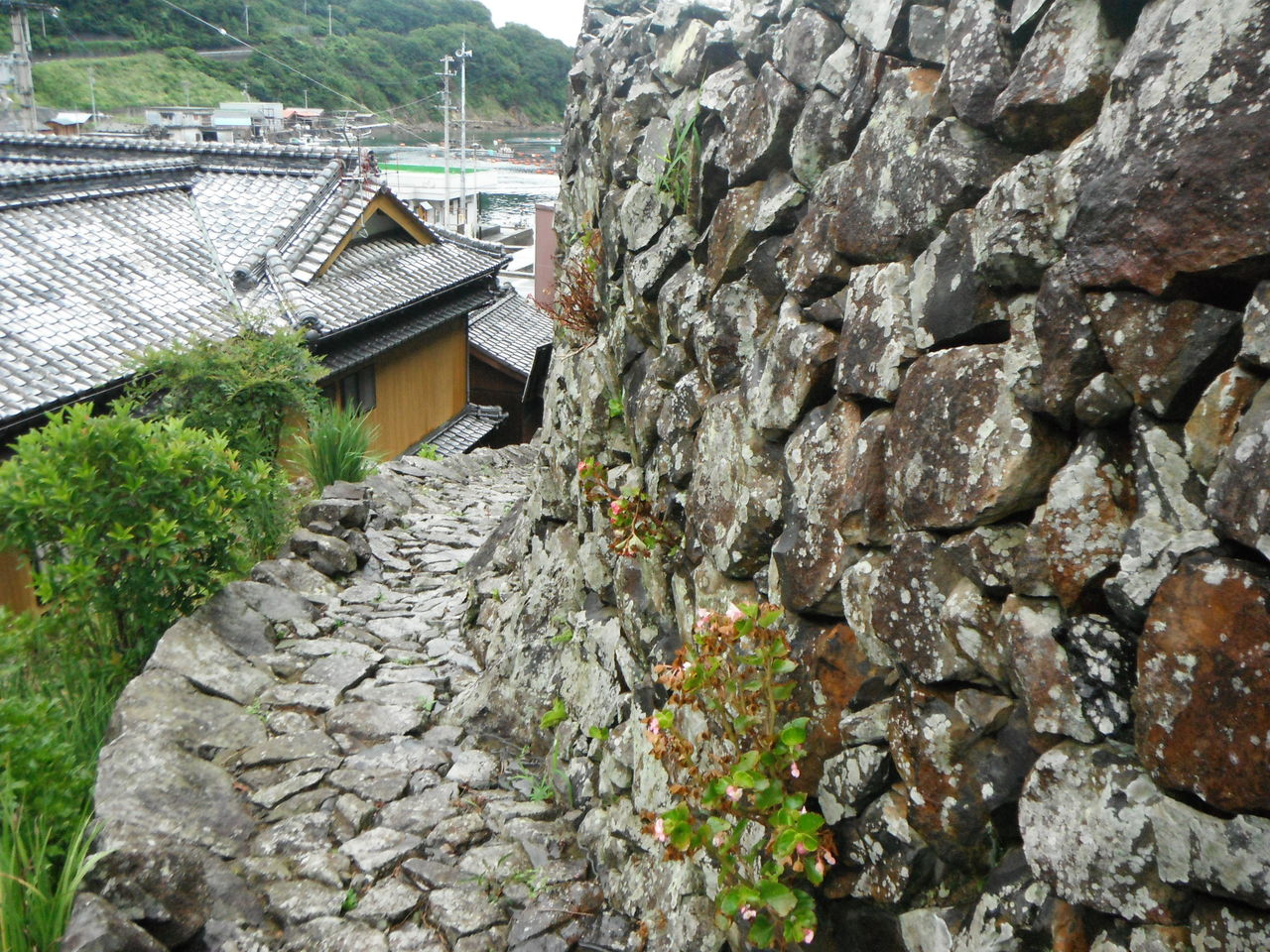 a0250179_8171866.jpg