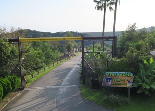 b0260581_16384689.jpg