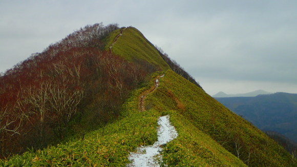 a0242984_11540463.jpg