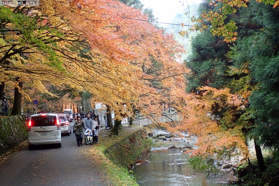c0220084_2333593.jpg