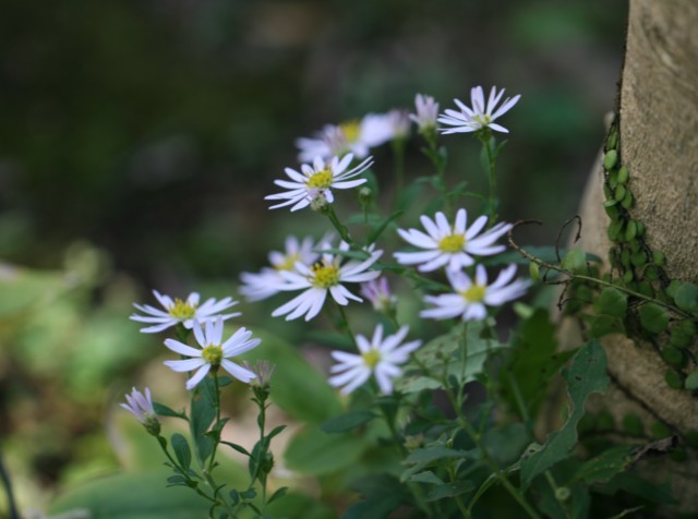 c0144185_21078.jpg