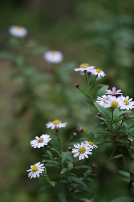 c0144185_2254246.jpg