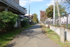 d0183387_02474182.jpg