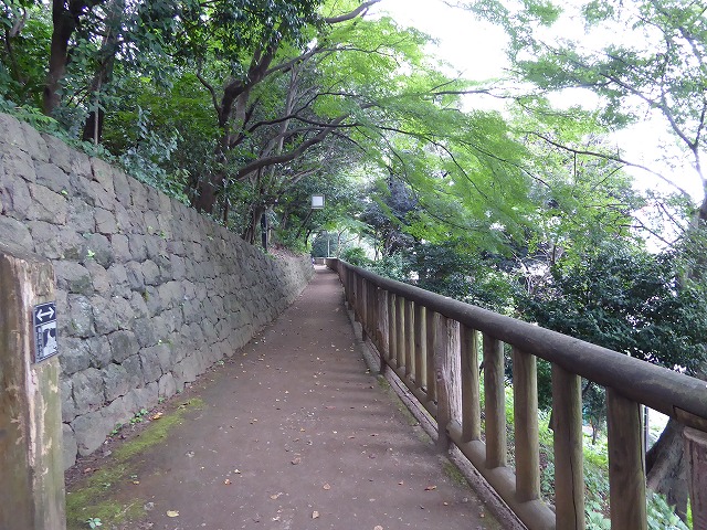 b0287088_21145539.jpg