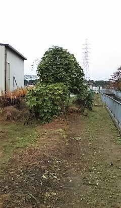 b0205694_10362198.jpg