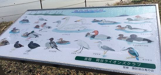 c0090198_1671560.jpg