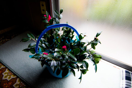 f0239100_032811.jpg