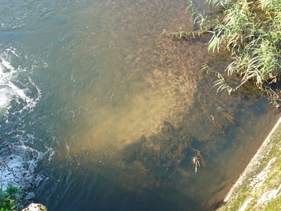 f0082402_20291425.jpg