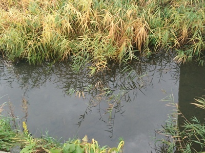 f0082402_21312927.jpg