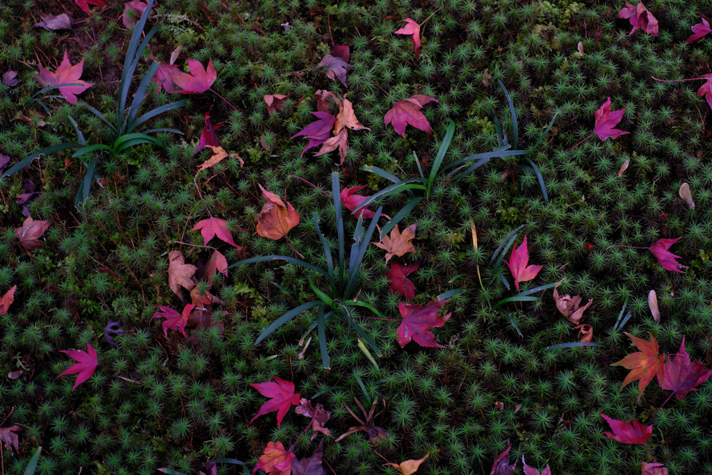 c0355704_224154.jpg