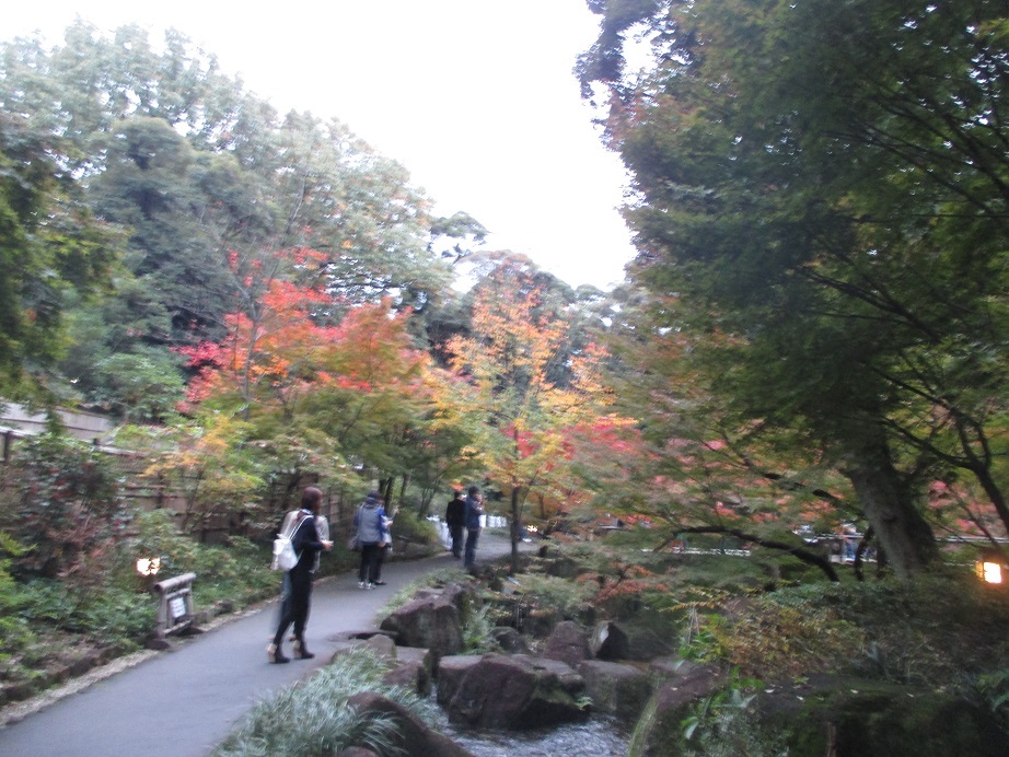 e0242504_05243356.jpg