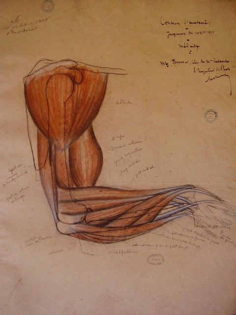 e0245404_120788.jpg