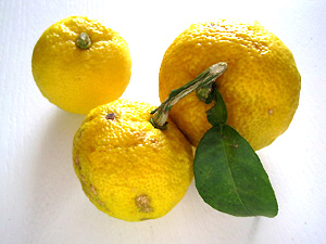 a0177205_10563036.jpg