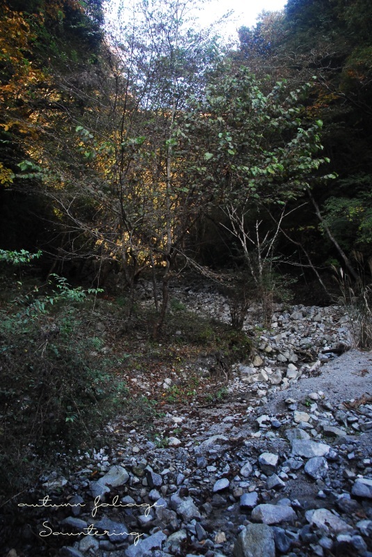 b0223512_22135274.jpg