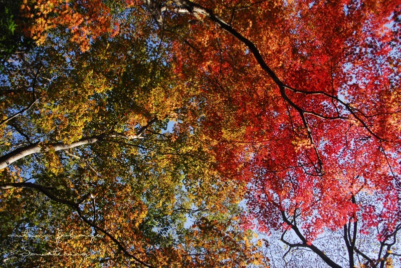 b0223512_22523275.jpg