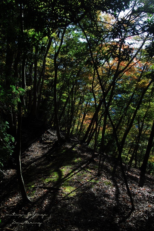 b0223512_22564121.jpg