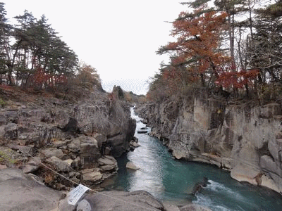 b0037714_21575225.gif