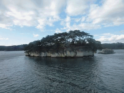 b0037714_22212376.gif