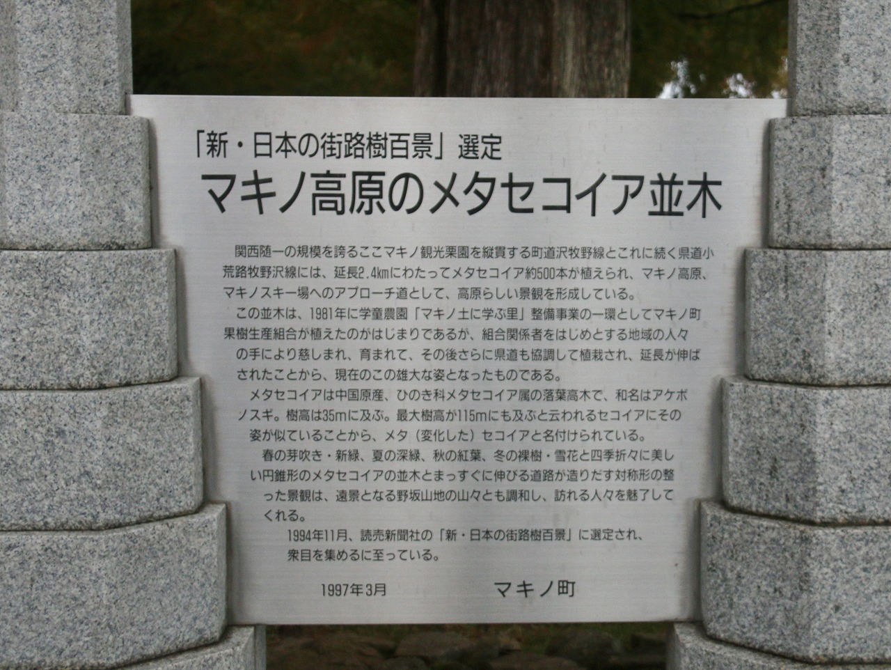 a0198715_12211263.jpg
