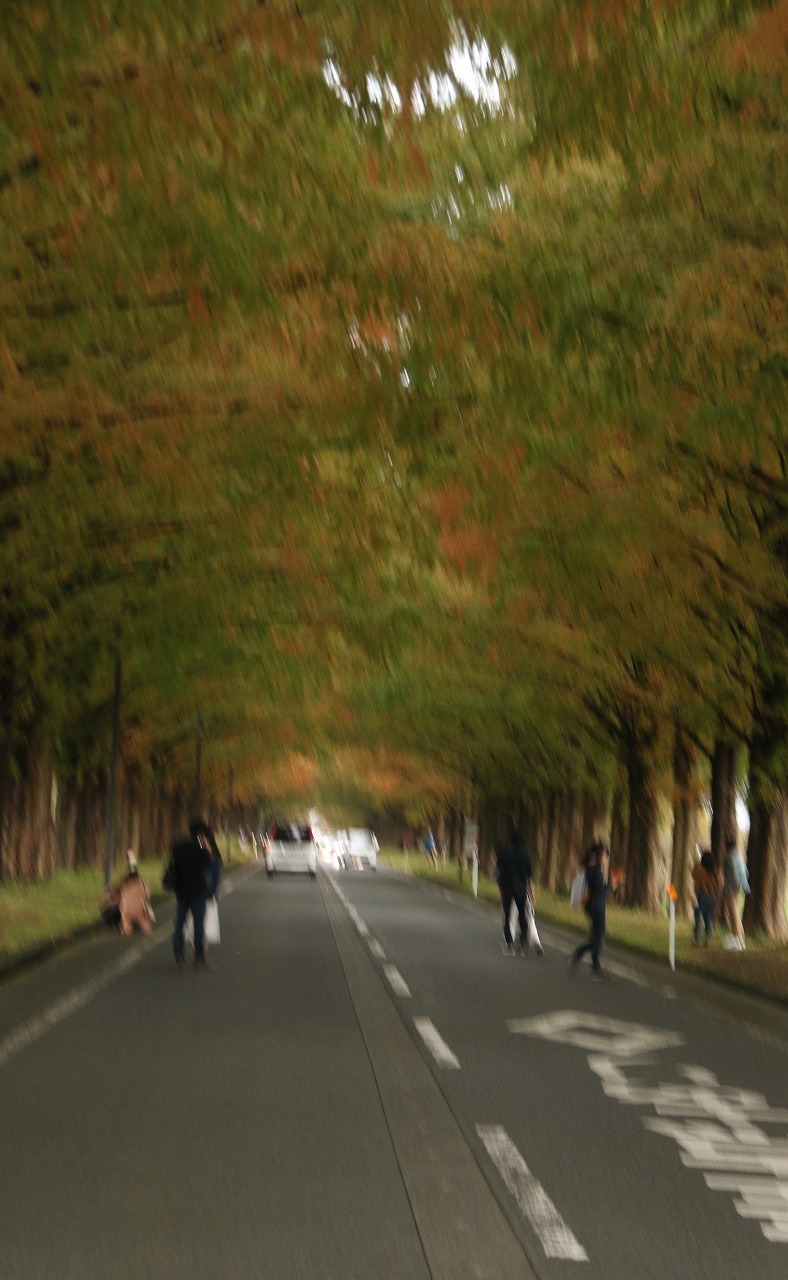 a0198715_12222974.jpg