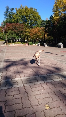 b0339522_08123664.jpg