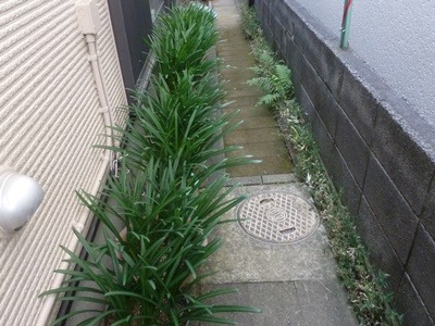 e0033229_17514818.jpg