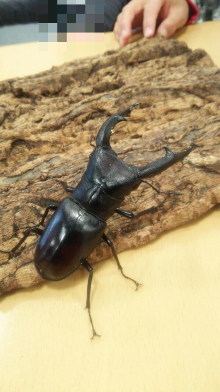 c0337631_07440120.jpg
