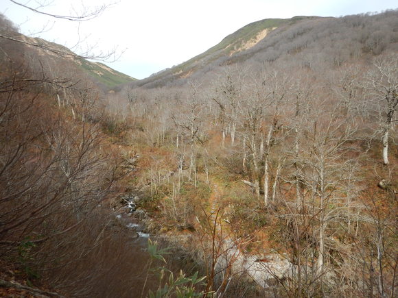 f0118332_2328091.jpg