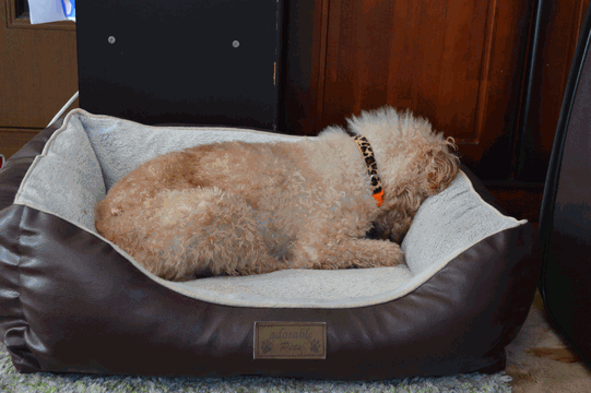 c0136736_18425305.gif