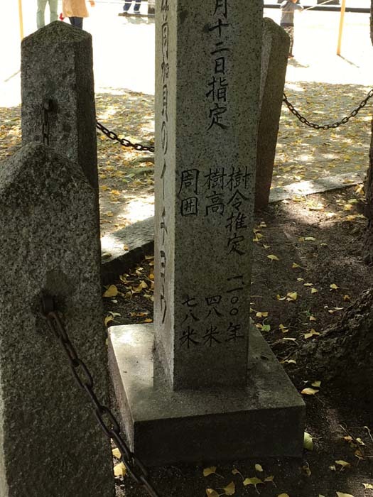 f0191444_12480614.jpg