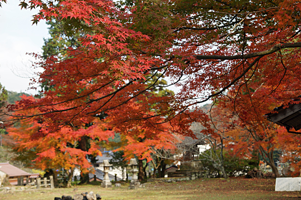 f0214649_2493963.jpg