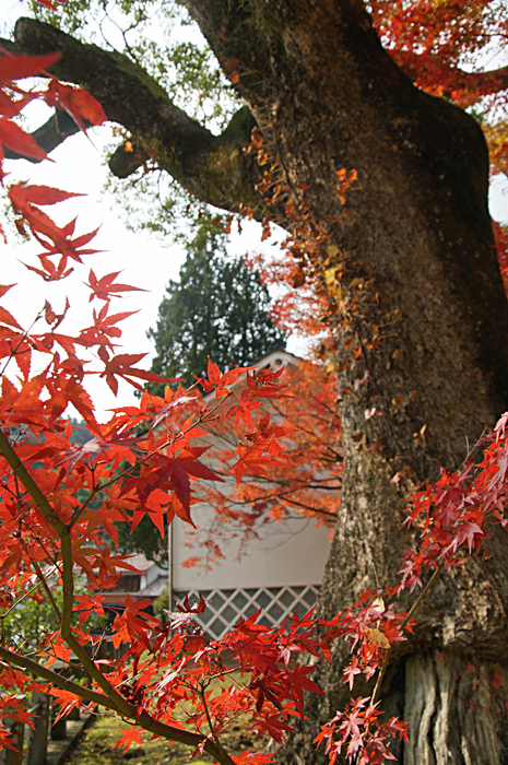 f0214649_2501887.jpg